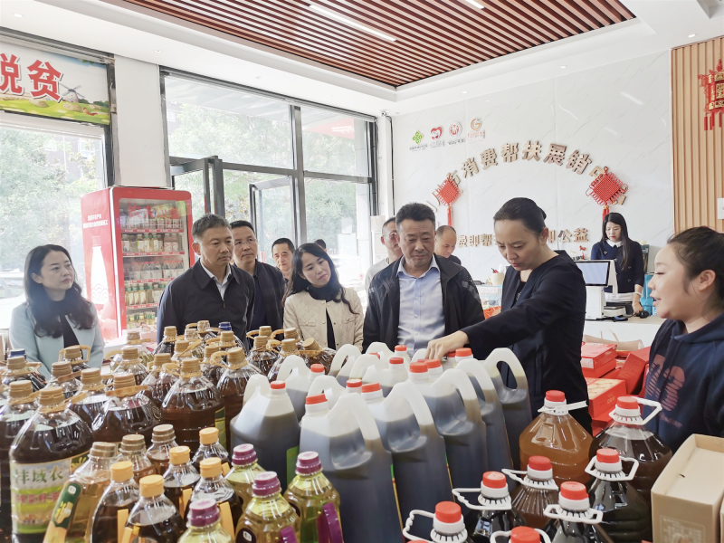 王紅俠調(diào)研督辦重點(diǎn)提案辦理情況