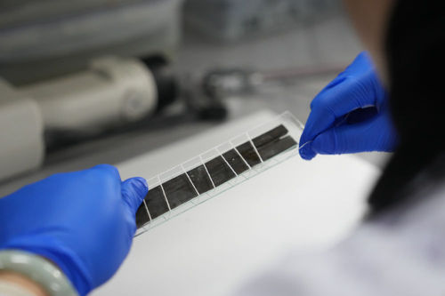 20240517b666a06830a7427b9346c72782177314_202405174c48221fe54c48d5ab1617d5dd7f0885