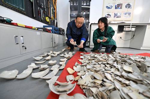 20240517b666a06830a7427b9346c72782177314_202405172fa0f32655904c08b9583537a547630d