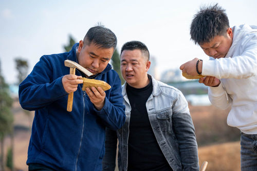 20240517b666a06830a7427b9346c72782177314_202405173ca94359b3ad4390a4e52040b4dc326d