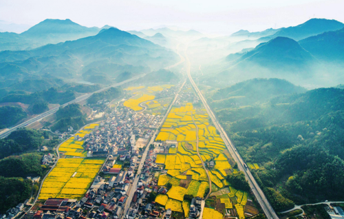 2025041441cefdbe4bc142a790249b93f936c148_20250414e1a13e56d4294d07958bf6951569a695