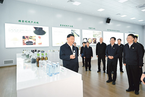 2025031532598cd0b1d24a098646c7a8fd8608c1_202503150eed296e61724953a5e4f6f7a89b98ff