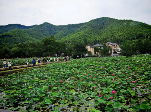 718d9d744d4f96843943531c7d1baeb 718d9d744d4f96843943531c7d1baeb