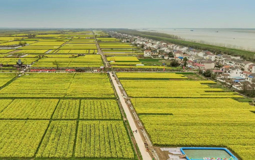 20250603f951d2b60cae437f9d9c4c65480a821e_202506032de25da386e64aadab3eb83994294c02 20250603f951d2b60cae437f9d9c4c65480a821e_202506032de25da386e64aadab3eb83994294c02