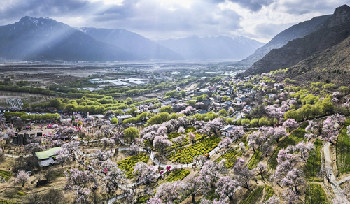 20250820798986c447884294bb0b215bdfff6dbc_202508201884a3b8814c42589da5e8ac2a9c5124 20250820798986c447884294bb0b215bdfff6dbc_202508201884a3b8814c42589da5e8ac2a9c5124