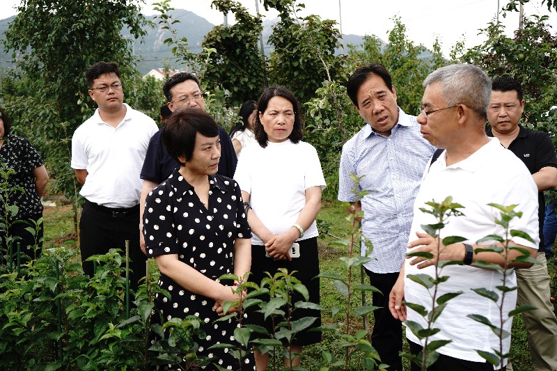 農業(yè)農村委1_副本(正).jpg 農業(yè)農村委1_副本(正).jpg