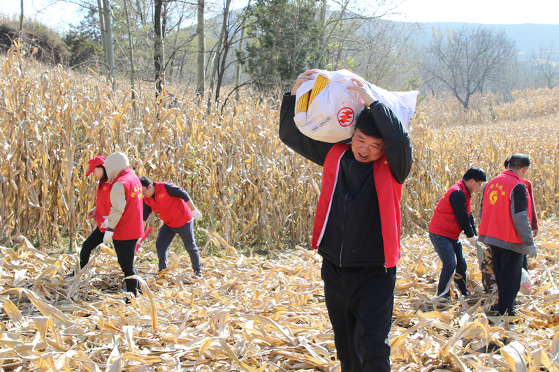 3_副本.jpg 3_副本.jpg