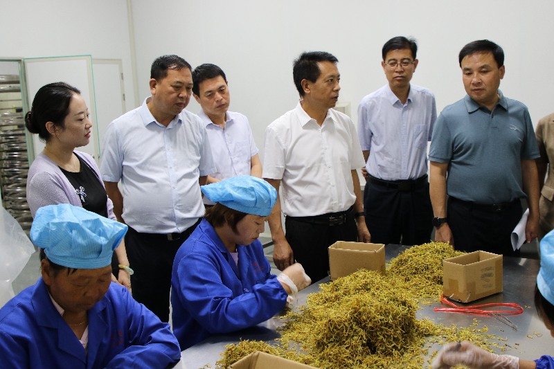 提案1(正文圖).jpg 提案1(正文圖).jpg