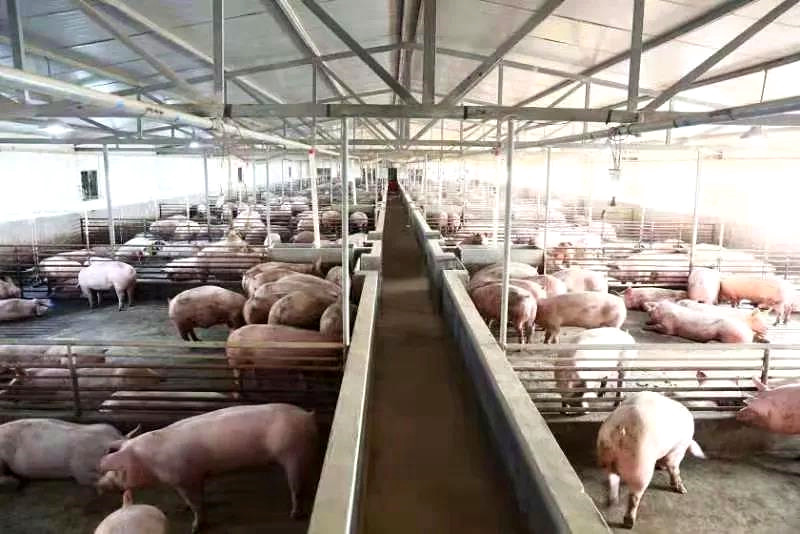 微信圖片_20210105215248_副本.jpg 微信圖片_20210105215248_副本.jpg