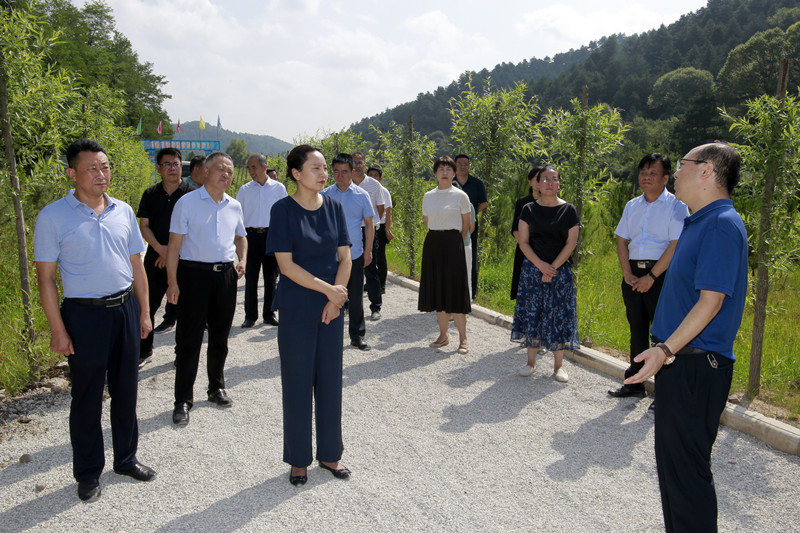 社法調研_副本3.jpg 社法調研_副本3.jpg