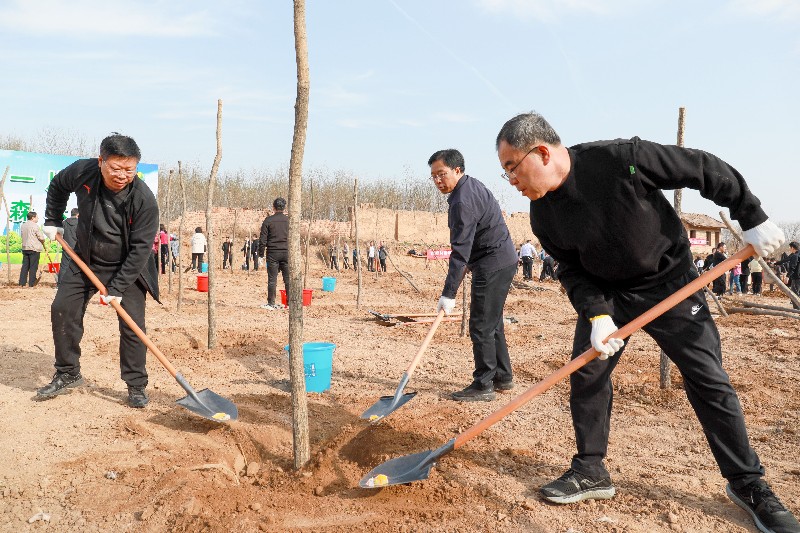 2_副本(800  533).jpg