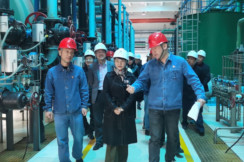 5_副本(800 533).jpg 5_副本(800 533).jpg